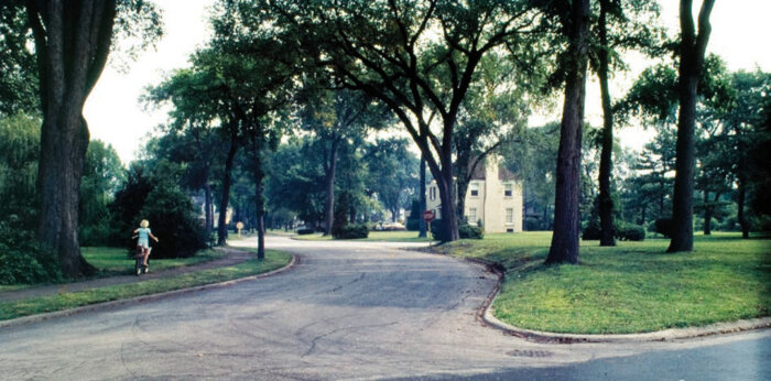 Riverside, Illinois, a typical 19th-century pastoral suburb outside Chicago. Designed by Olmsted and Vaux, it is a quintessential example of a suburban ideal. Image: Landscape Architecture Collection, Environmental Design Visual Resources Center, University of California, Berkeley